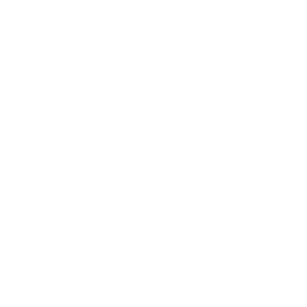 Lecture video conférence D2BI