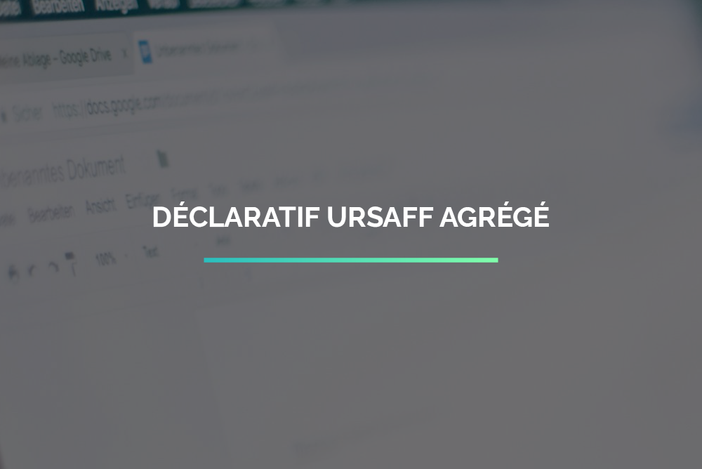 Retrouvez vos éléments de la DUCS et du TR